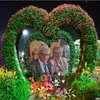 vasilebud12