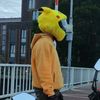 pikachurider_nl