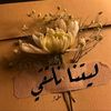 user6181521798572
