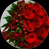 yuqolee43