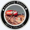 AMAZING BEETLE