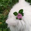 your_pakhi86