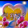 sayedmohamed1972