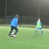 teo_hlc6741