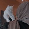 .fariha372