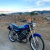 rif_king6