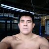 lohechoeshistriaparaelma