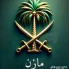 palq__12