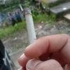sam273264