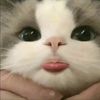 오잉
