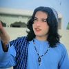wazirwalbadshahgul