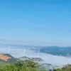 mingio2
