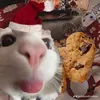 meoisthe_