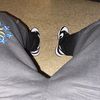 thereal_mike12