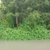yeunhaumaimai123
