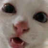 santi_tii