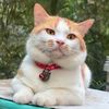 nuree_1661