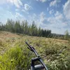 cxrxmtb