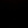 dhanzee.02