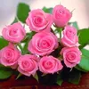 yusfxalid44