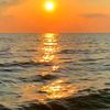 faiza.ansari20