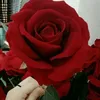 sokpes11122