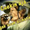 saleho.brow.manis
