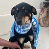 Lilou