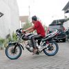 risaris39