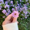 fathima.nuha536