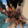 uzma.zaheer5