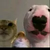 donpepito52