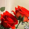 user5591747813749
