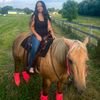 skyshorse