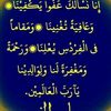 hanamohamedwww.tiktok.co