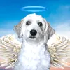 marty_12452