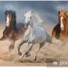 ghada.ael