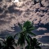 ujang.ahmad454