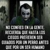 edicia84