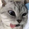 ucok_616