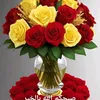 user8066651619979