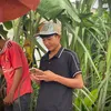 thpzaii