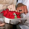 shahd.mohamed3067