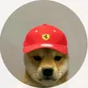 charlesleclercfan223