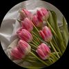 f.abdulay.ms