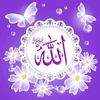 shabban.hinedy