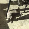 olivia_01108