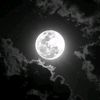 love_habiba3