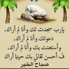 mohameddeffairi5