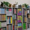 syafabookgallery